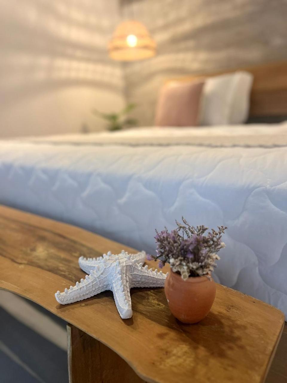 Yba Casa Hotel Ilha Do Mel Paranaguá エクステリア 写真